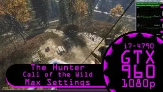 The Hunter - Call of the Wild max settings.