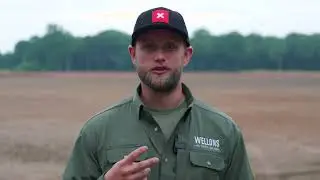 Developing a FLOODED TIMBER Duck Hole