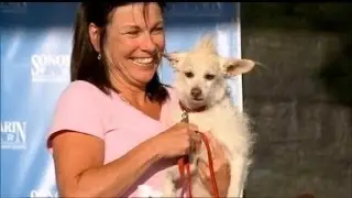 Hideous Pooches Fight for the Title of 'World's Ugliest Dog'