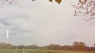 Tangail