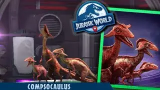 UNLOCKING THE NEW COMPY HYBRID COMPSOCAULUS!!! - Jurassic World Alive [HD]