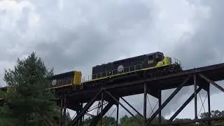 WAMX SD40-2 4205 w/ SD40M-2s Leads BLU T31 on 7/28/20 (Part 2)