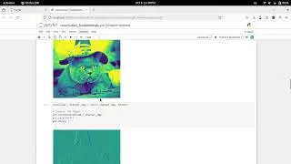 Deep Learning Fundamentals: What happens to an Image During Convolution