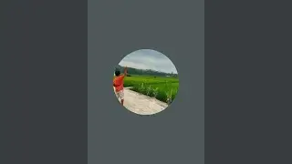 ziqun_wj sedang live sekarang!