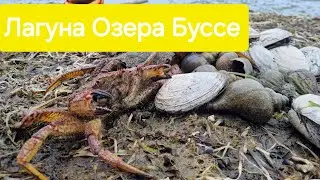 Лагуна Озера Буссе-Природный Заповедник-На Острове Сахалин Единственный в мире 🌍