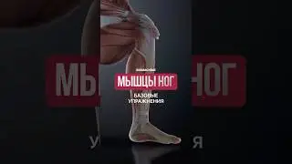 5 базовых упражнения на ноги