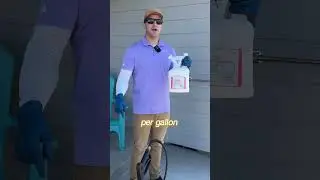 How to prevent bugs from coming into your house!