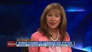 Attack at light rail station