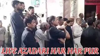 ROI BAHUT YATEEM SAKINA NASHEB ME | 19 Safar 1446,2024 | Mahshar ali | Live Azadari Har Har Pur