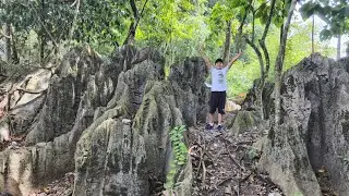 Fairy Cave, Sarawak