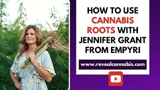 How to use cannabis roots for skincare and more!