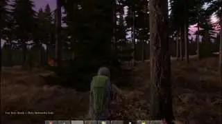 DayZ Standalone Giveaway(3 chances)
