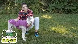 Ruff Wear Quinzee Insulated Dog Jacket