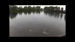 Trout fishing lafarge lake!