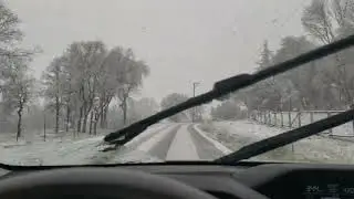 Wolf Road March 28 2023