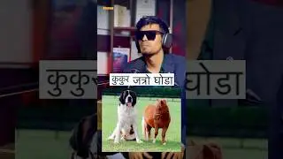 Arif Ali from chinabazar 😆😆😆#nepal #arif4d #adpodcast