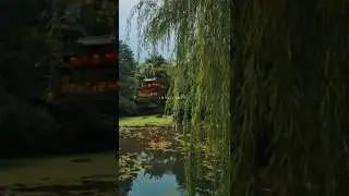 ЯПОНИЯ #япония #киото #путешествие #осака