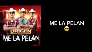 ME LA PELAN - GRUPO ORIGEN -  siento decepcionar aquellos  que me desean el mal - #letra  #karaoke