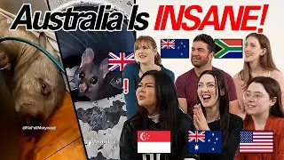6 Friends React To AUSTRALIA IS NOT A REAL PLACE! Is It REALLY Just a Normal Day?