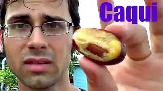 Caqui Fruit (Manilkara kauki) Review in Thailand - Weird Fruit Explorer - Ep. 76