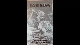 Tah Gum   The Washoe Pine-Nut Harvest