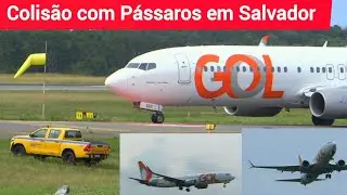 AVIÃO DA GOL SOFRE COLISÃO COM PÁSSAROS EM SALVADOR ✔
