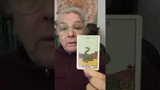 Lenormand Card s -Snake #shorts #lenormand #learnlenormand