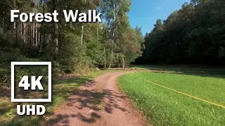 Virtual Walk Forest Hike | 4K UHD Stereo Audio | no Music | 4
