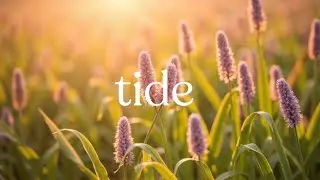 Still Tide, Silent Heart 🌿 Winter Calm Music for Mindfulness & Inner Peace