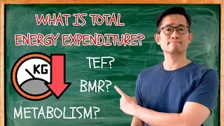 3 Sustainable WEIGHT LOSS Tips &ndash; Mastering Metabolism and Total Energy Expenditure