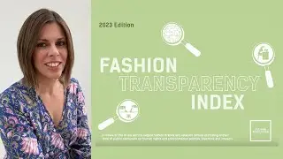 Fashion Transparency Index 2023 Explained