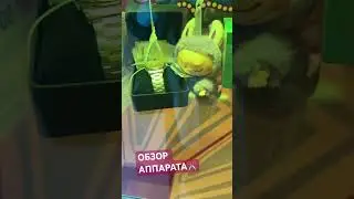 ОБЗОР АППАРАТА НОЖНИЦЫ ✂️(от 25.01.2026г)