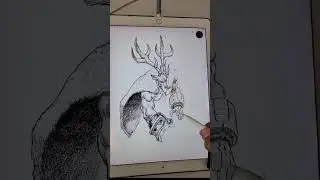 Apple notes freehand drawing.