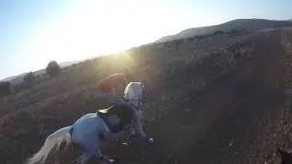 GoPro Horse Riding - Fast Run 🏇