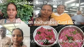 Vlog / സോഷ്യൽ കിച്ചണിൽ പോയപ്പോൾ/palakkad /kotta maithanam/beetroot kachumber curd Rice recipe.