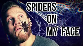 Fear Of Spiders | Arachnophobia | Potty Mouth Fear Factor (feat. Larry Battson)