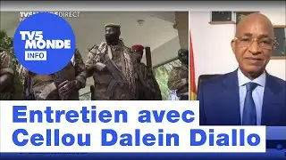 Guinée : l'ex-premier ministre Cellou Dalein Diallo s'exprime après le putsch | TV5 Monde Info