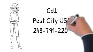 Pest City USA - Best Pest Control&nbsp;Services in&nbsp;Detroit Michigan