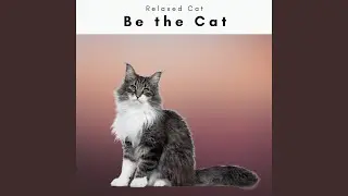 Dream of Total Relax Music for Cats Pt. 1