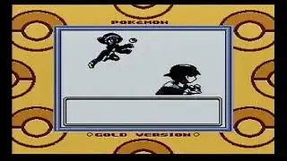 Catching a new Pokemon | Pokemon Gold
