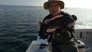 November black fish (Tautog) Western Long Island Sound. Captain Jay's Diary (어느 낚시꾼의 하루)