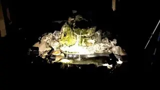 Relaxing Fish Pond | Calming Waterfall Sounds Live Stream