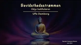 Uffe Damborg - Bevidsthedstr&oslash;mmen if&oslash;lge buddhal&aelig;ren
