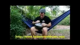 Kaizen review
