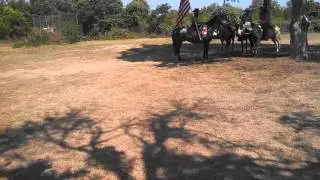 McDade Watermelon Festival