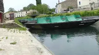 Coulon la petite Venise verte