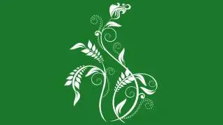 Flourish Flower on Green Screen 3