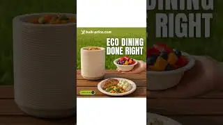 biodegradable Plates journey takes you