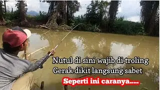 NUTUL IKAN NILEM DENGAN CARA TROLING || BIKIN KETAGIHAN AJA #nutulmelem #troling #mancingindonesia