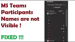 MS Teams Participant's names are not visible.   Fixed!!